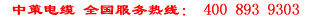 中策电缆