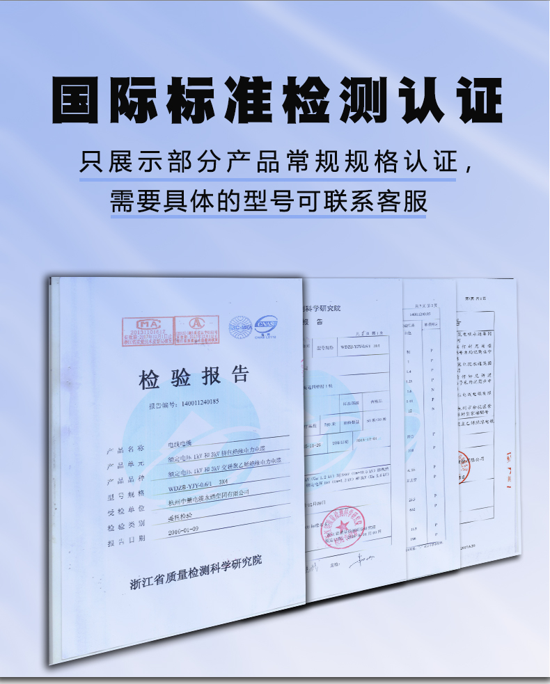 检测报告