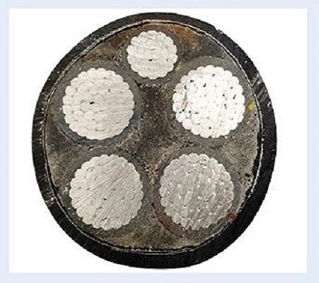 铝合金电缆热门话题你知道几个？【杭州安信】