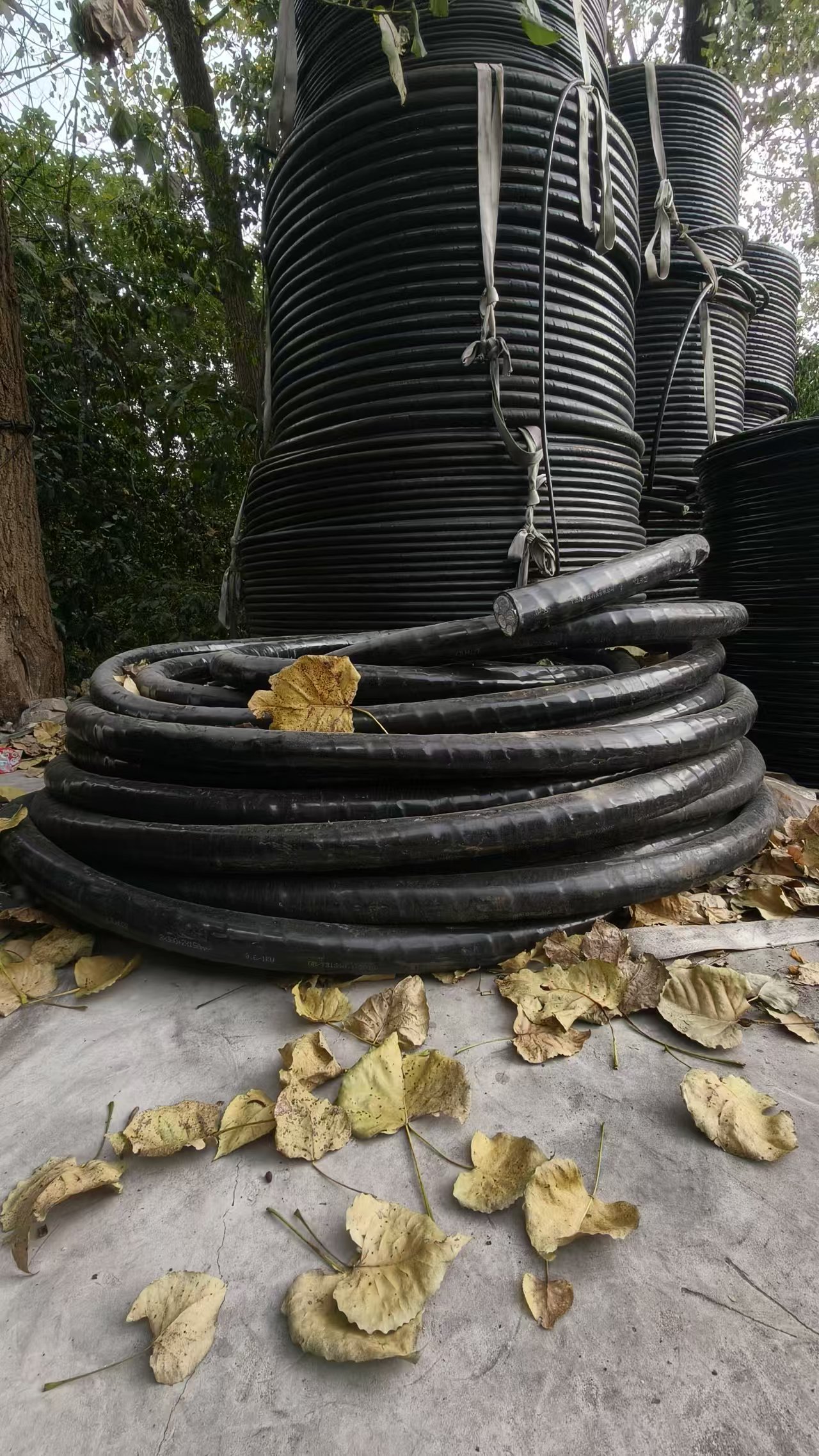 选对铠装电缆，为电力传输筑牢“安全铠甲”!