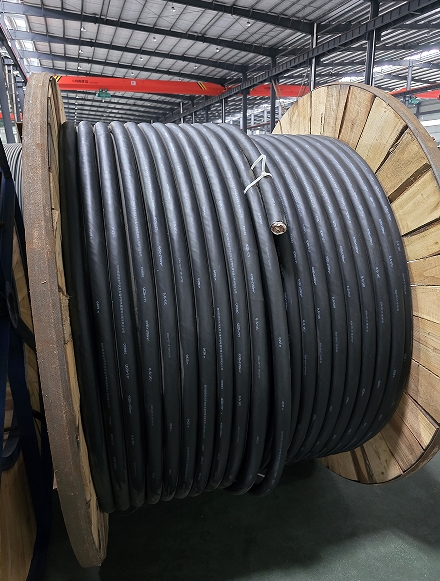 公园照明系统中哪个电缆用的最多？