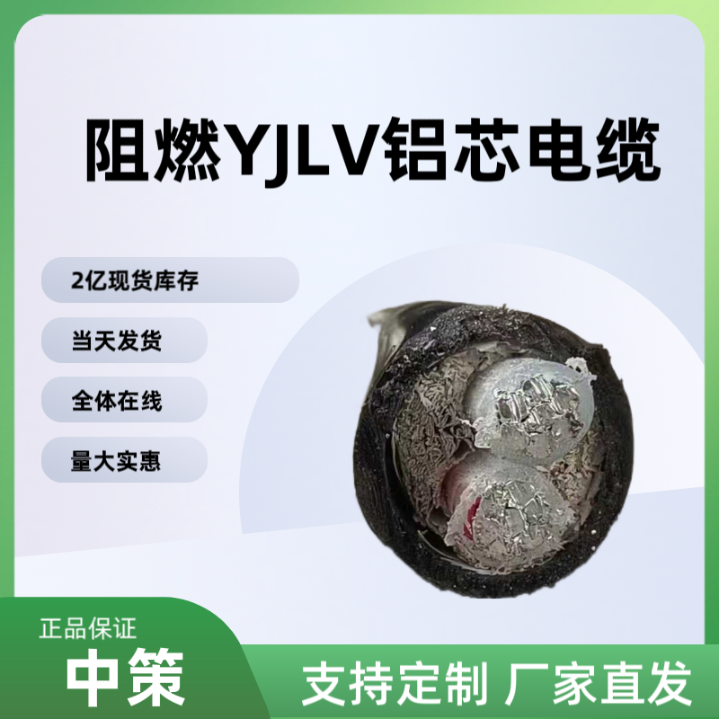 中策阻燃ZR-YJLV铝芯电缆 国标2×10平方阻燃电缆厂家直销
