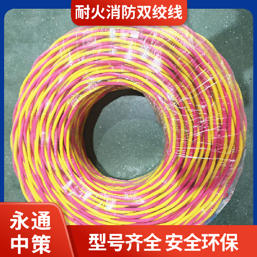 永通中策低烟无卤电线 WDZB1N-RYJS 2×2.5平方耐火消防双绞线厂家